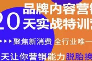 《品牌内容营销实战特训营》20天让你营销能力脱胎换骨